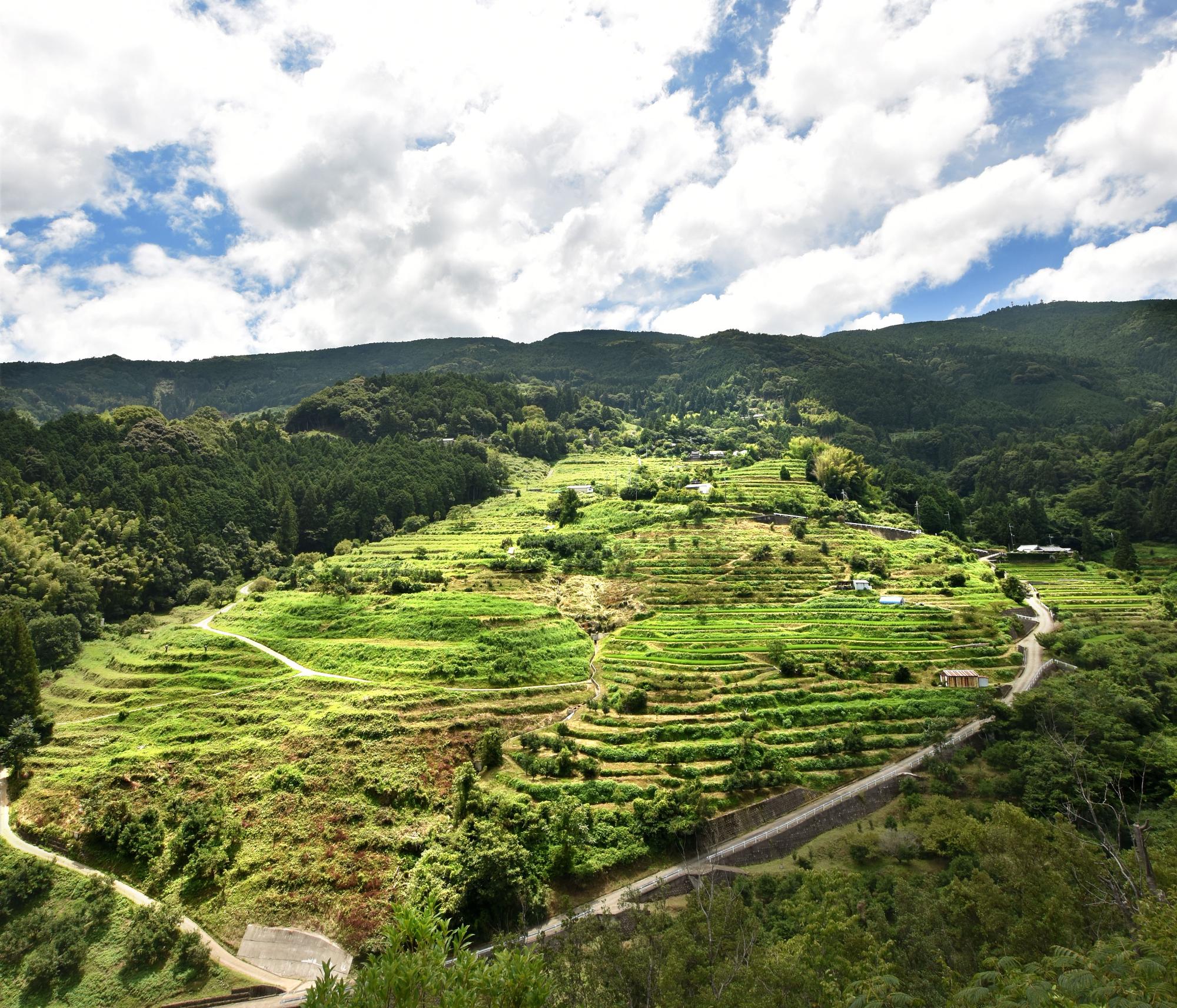 中田の棚田