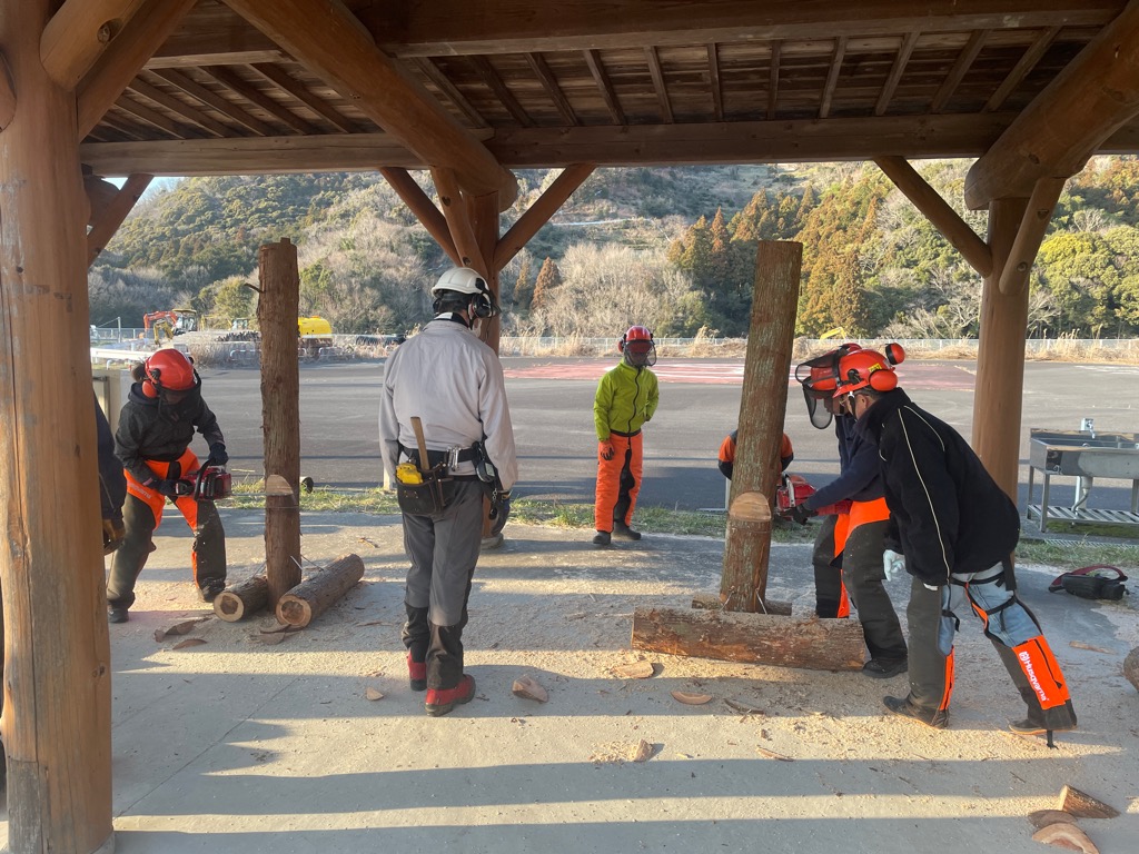 研修会にて伐倒方法の実技を行っている参加者の様子