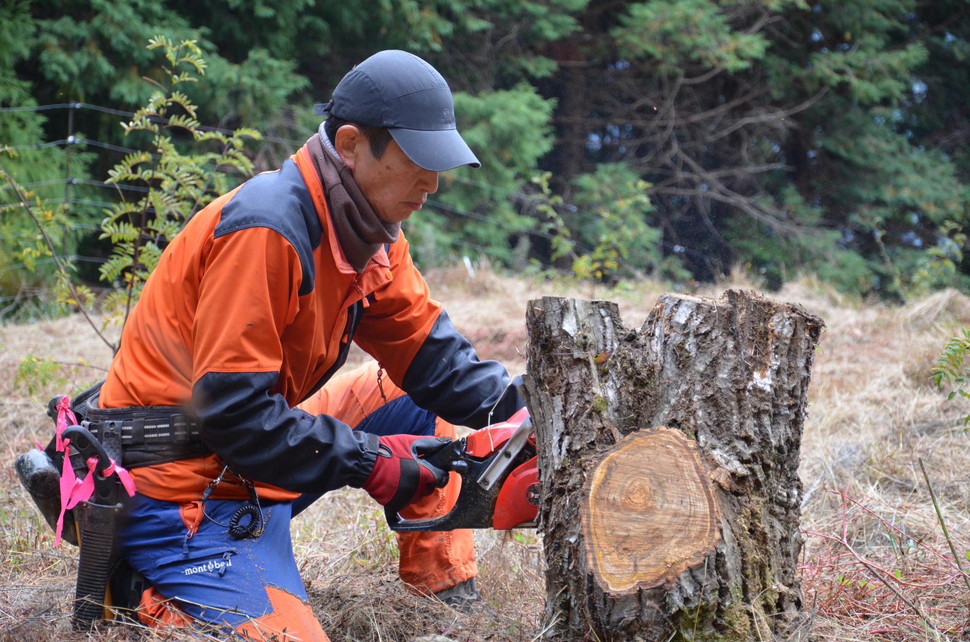 きみの地域づくり学校実践編の様子