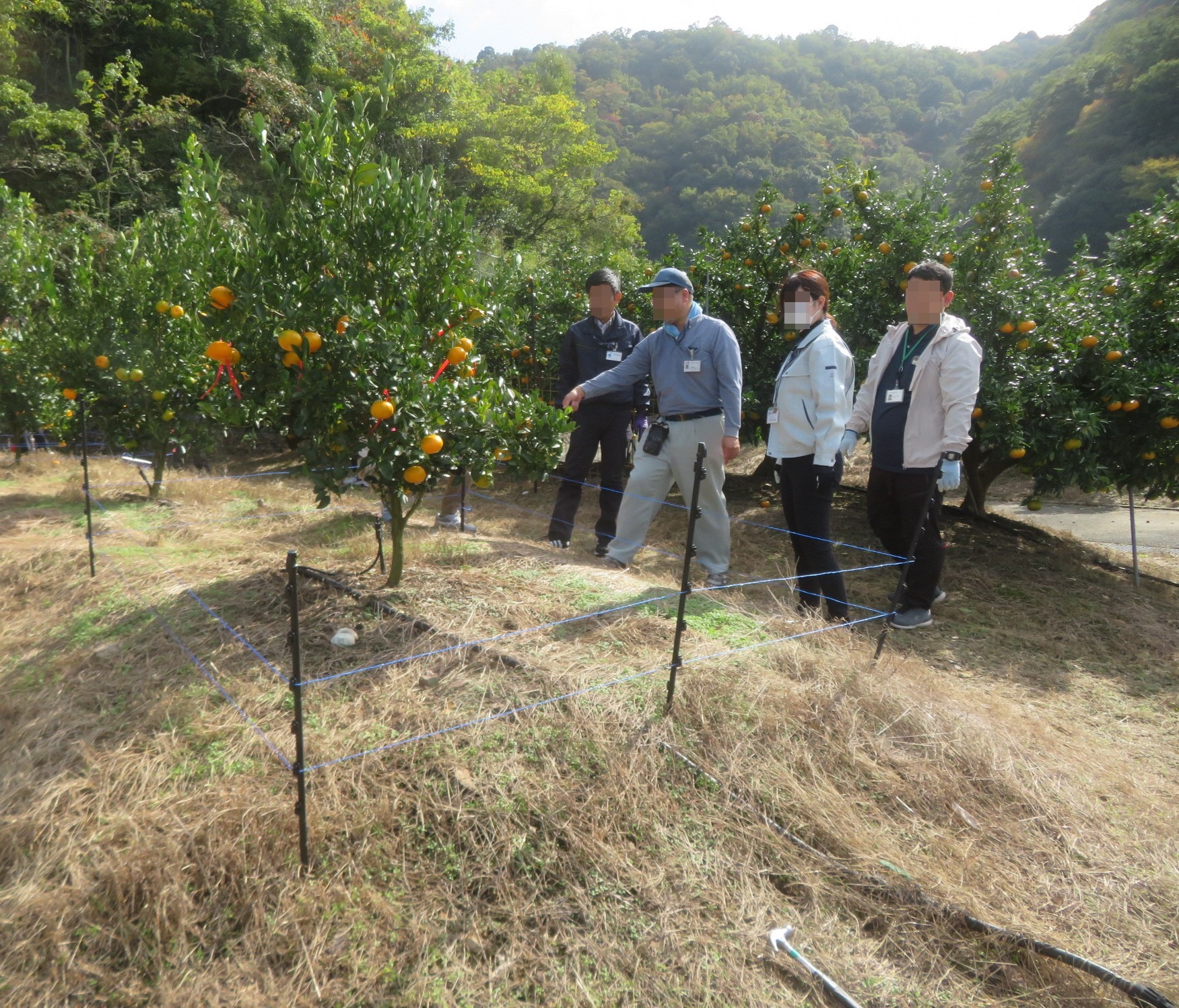防護柵について現地研修を受けている様子。
