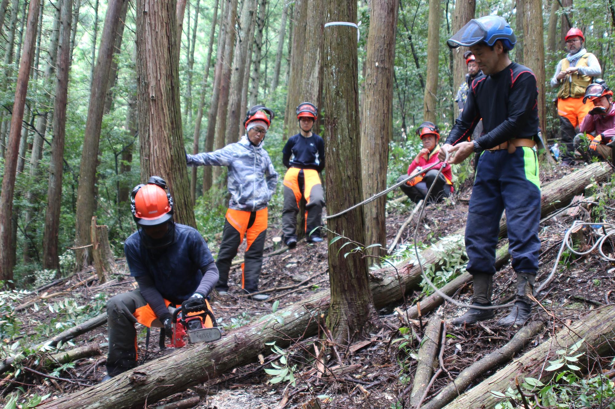 山での研修で講師の説明を聞く参加者達